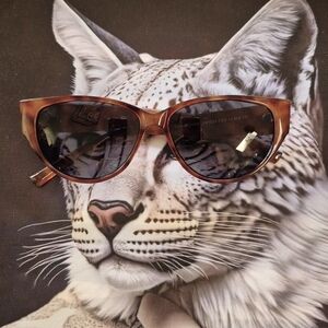 FRYE AND CO. Tortiose Sunglasses